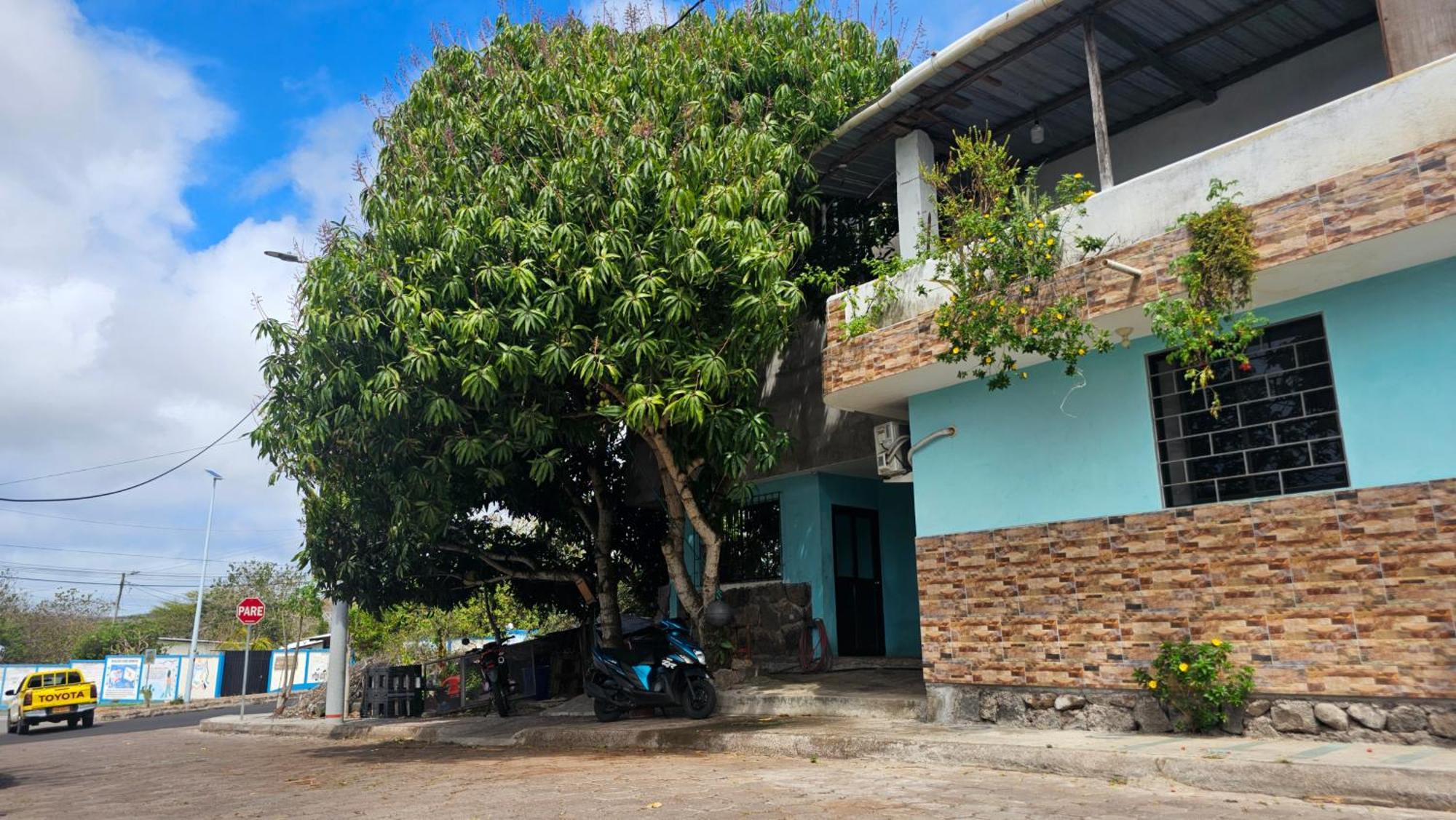 San CristóbalFlor'S Houseアパートメント エクステリア 写真